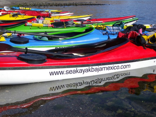 Line up of Kayaks in the water